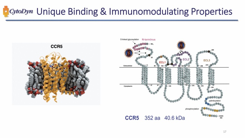 New Microsoft Word Document_slide017.gif
