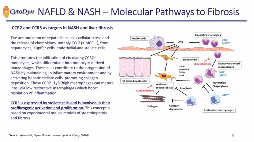 New Microsoft Word Document_slide033.gif