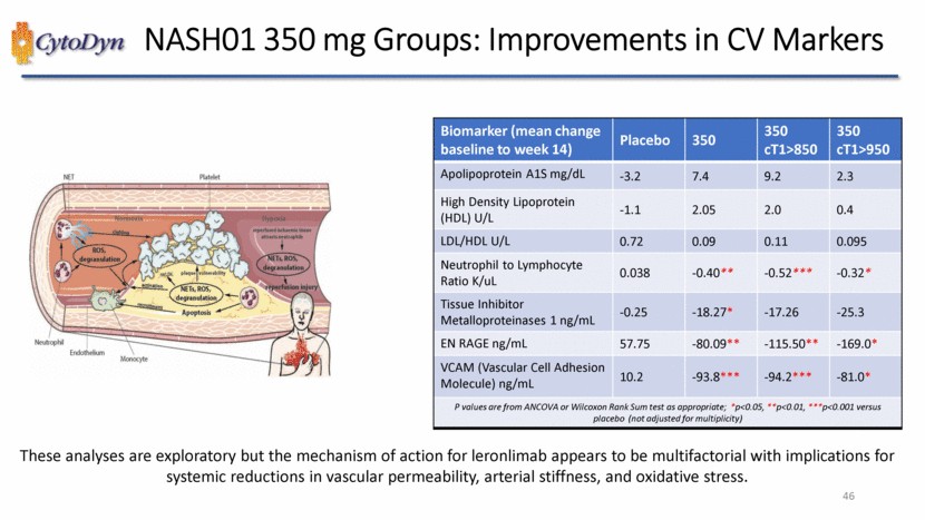 New Microsoft Word Document_slide046.gif